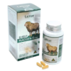 Thuốc Sheep placenta 6500